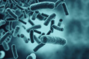 iStock