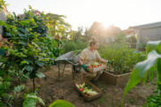FOTO: iStock