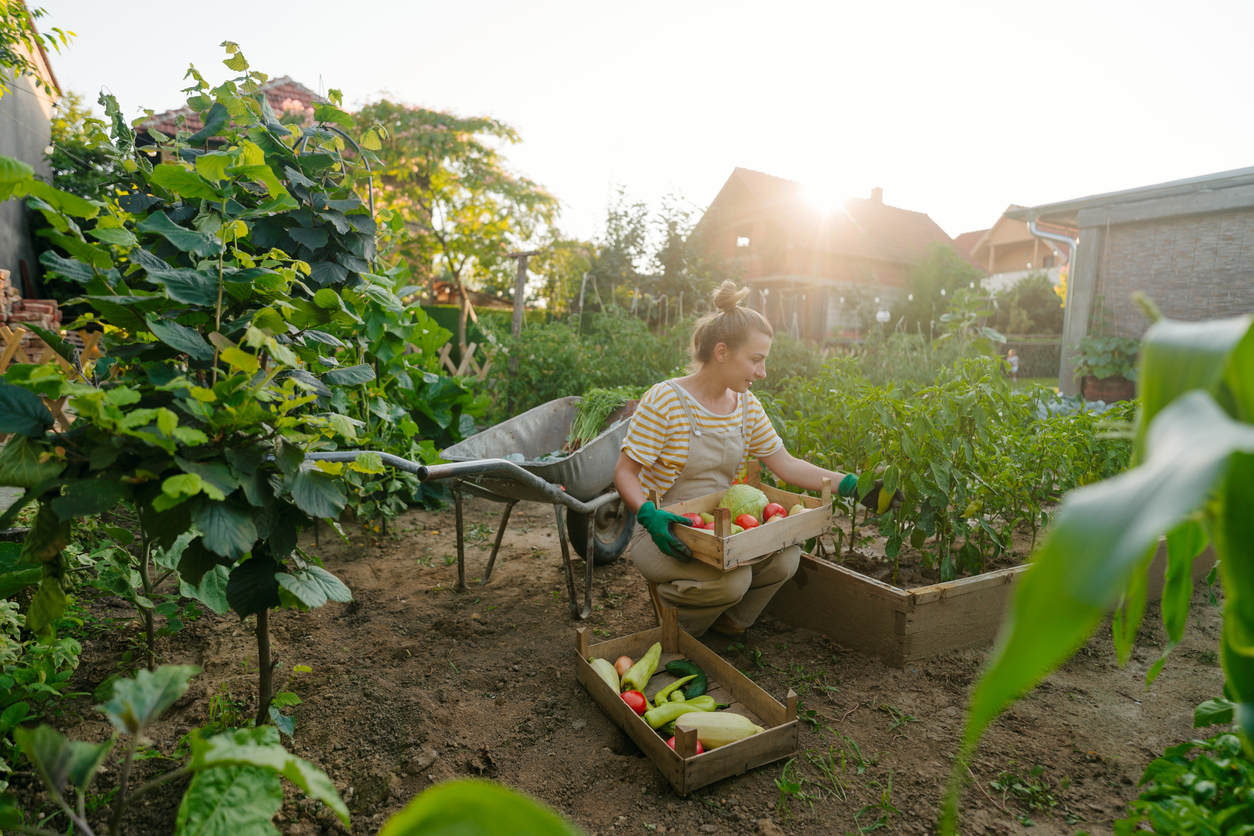 FOTO: iStock