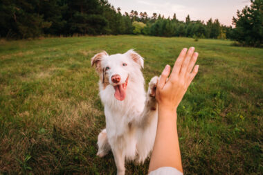 iStock