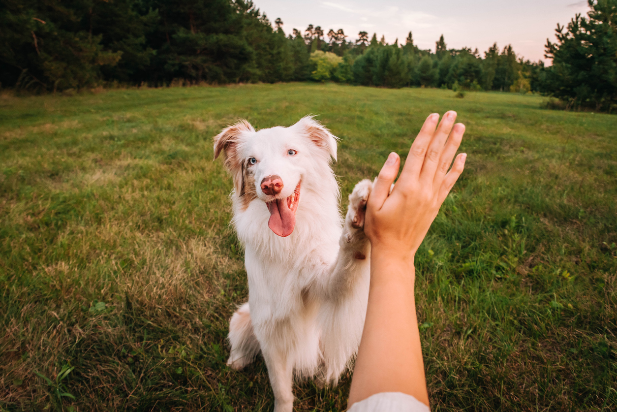 iStock