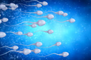 iStock