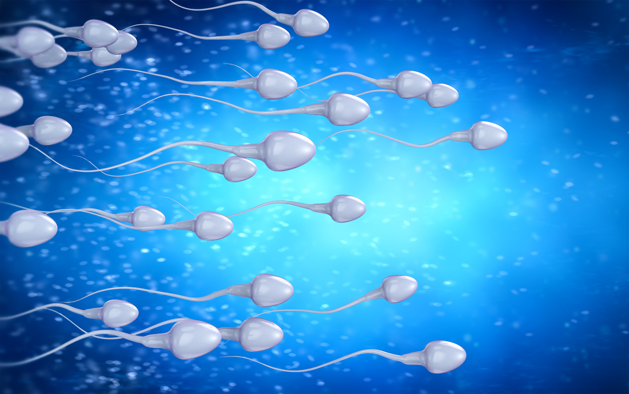 iStock