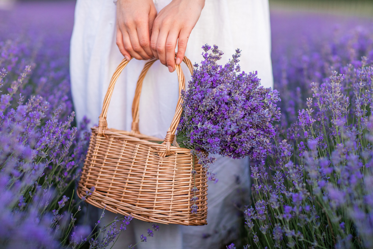 FOTO: iStock