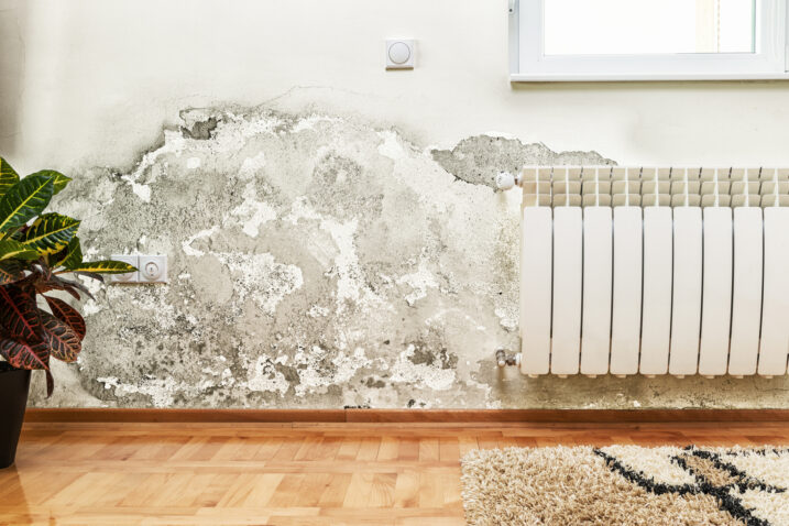 Foto: iStock