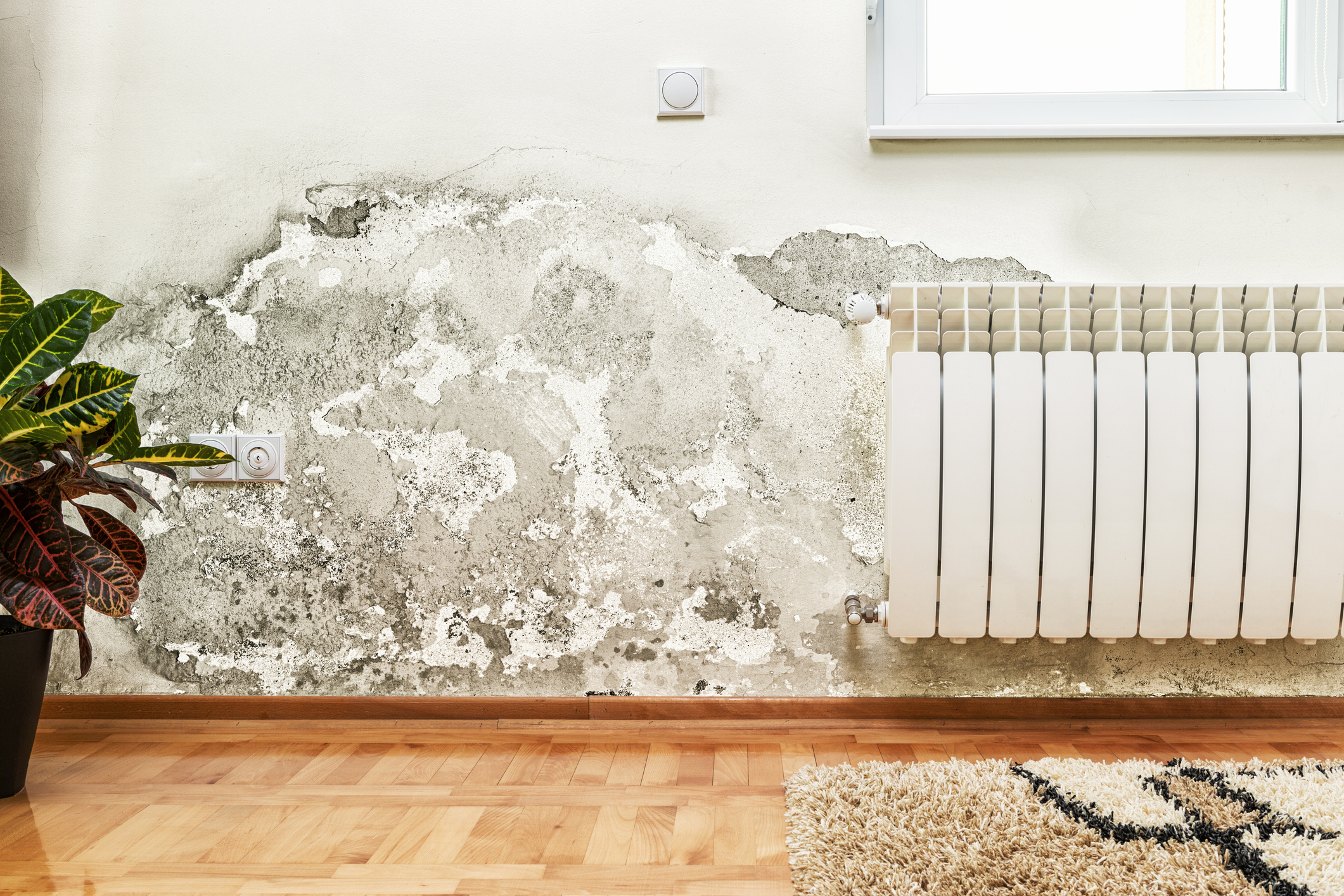 Foto: iStock