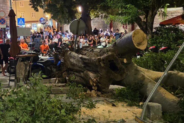 Foto JVP grada Krka