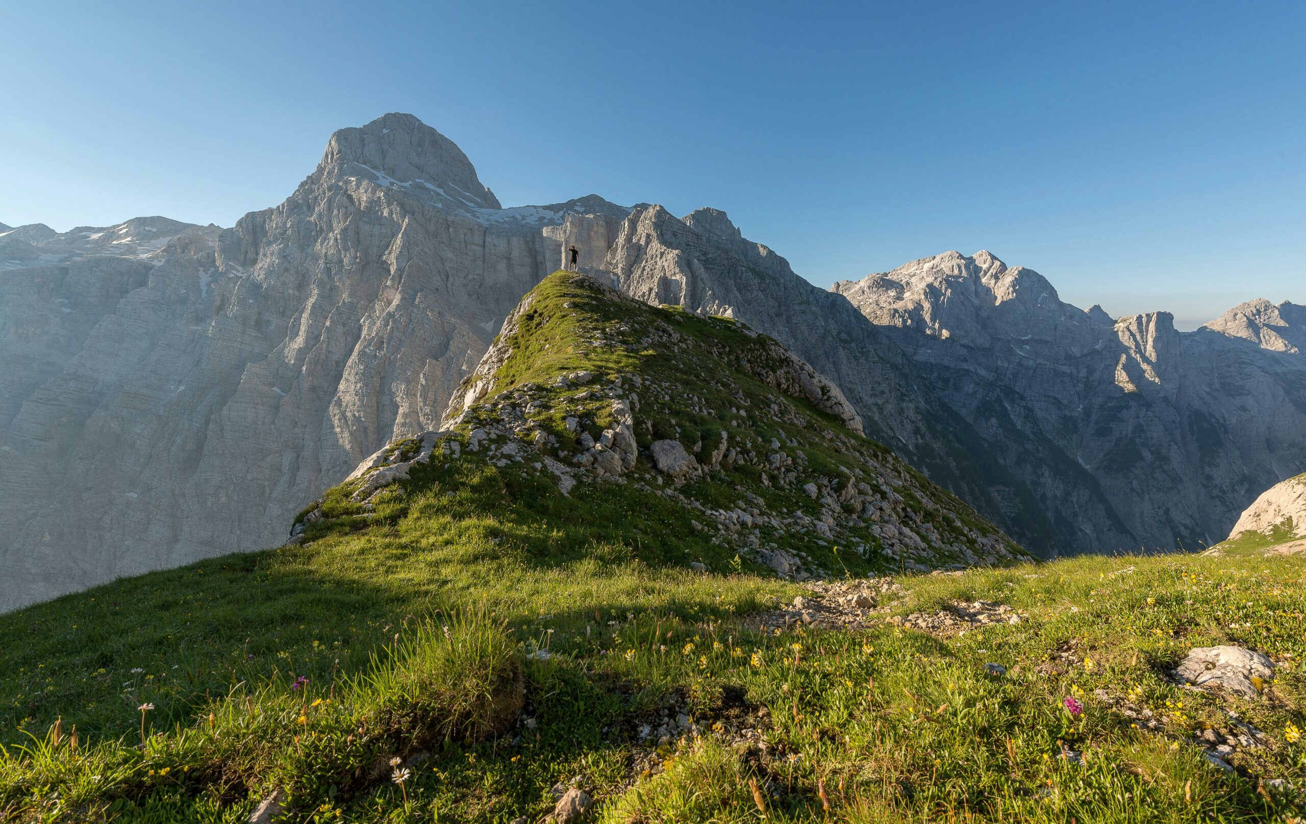 Foto: Pexels / Krivec Ales