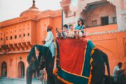 Photo by Parv Choudhary / Pexels