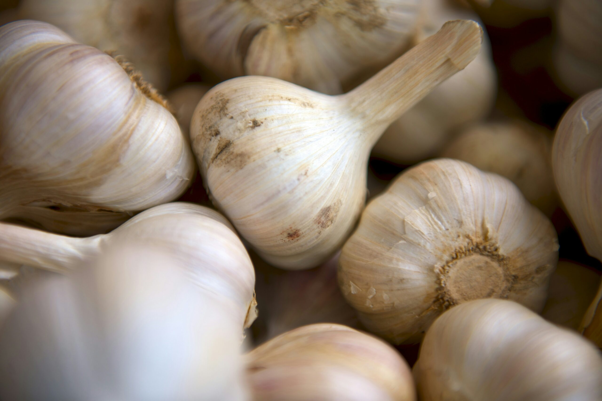FOTO: Unsplash