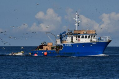 Foto Milivoj Mijošek