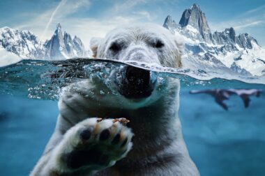 Ilustracija / Foto iStcok