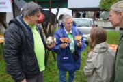 Foto Marinko Krmpotić