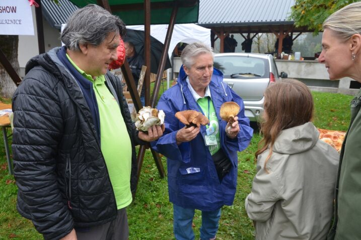 Foto Marinko Krmpotić