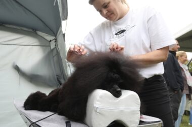 Foto Kristina Stedul Fabac/PIXSELL