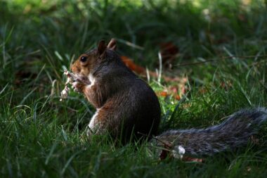 Foto REUTERS/Hiba Kol