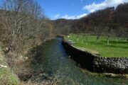 Izgradnja akumulacije Kukuljani donijela bi više štete nego koristi - i ljudima i okolišu / Foto Vedran Karuza