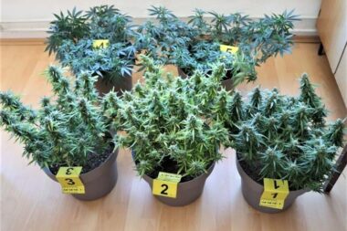 Foto: Pu primorsko-goranska