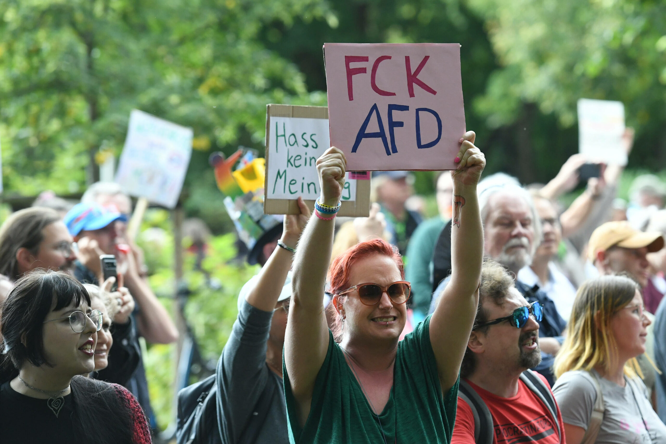 Prosvjedi građana protiv AfD-a / Pixsell