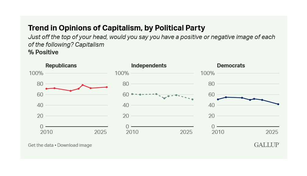 Screenshot / Gallup