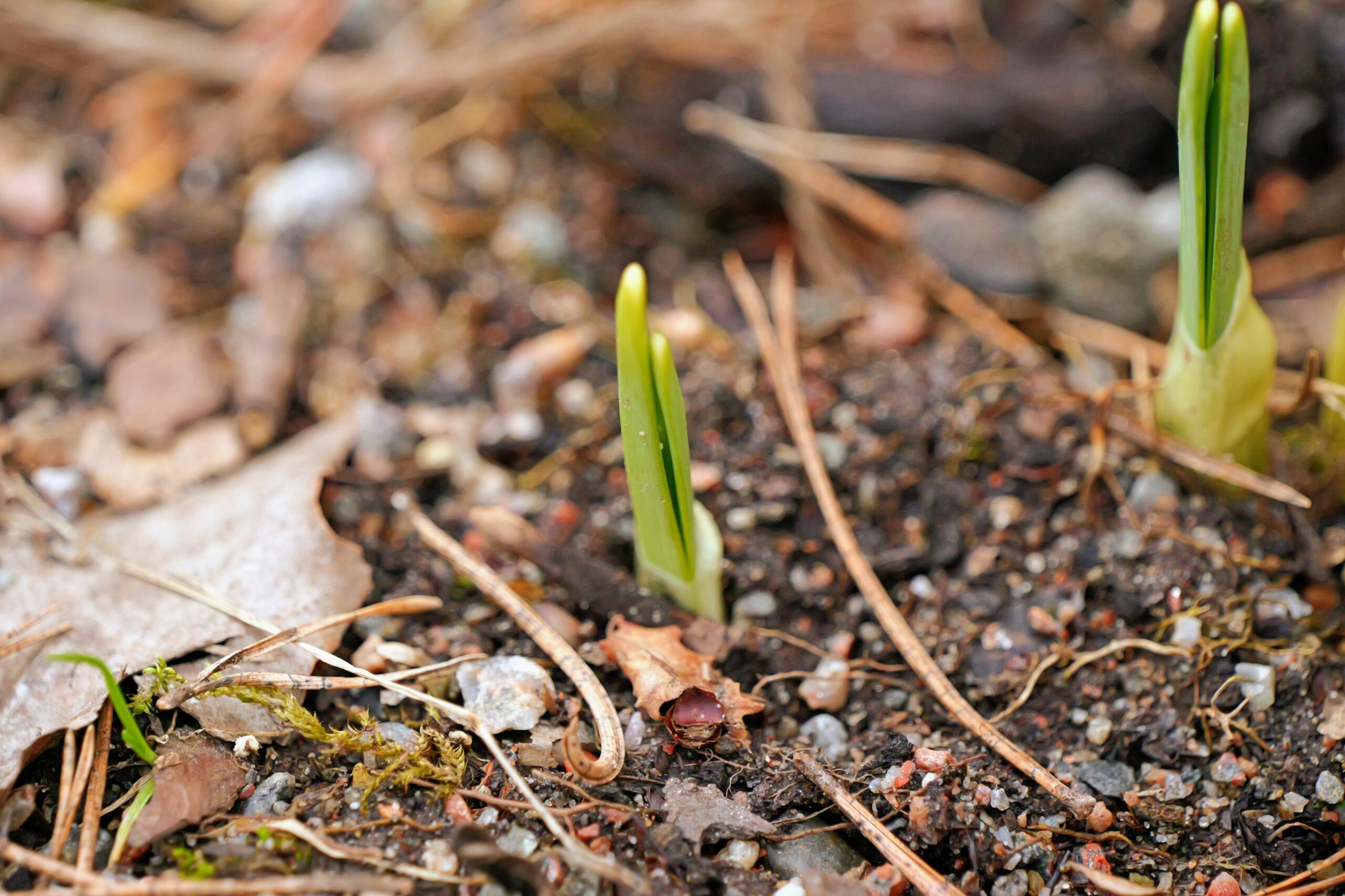 FOTO: Unsplash