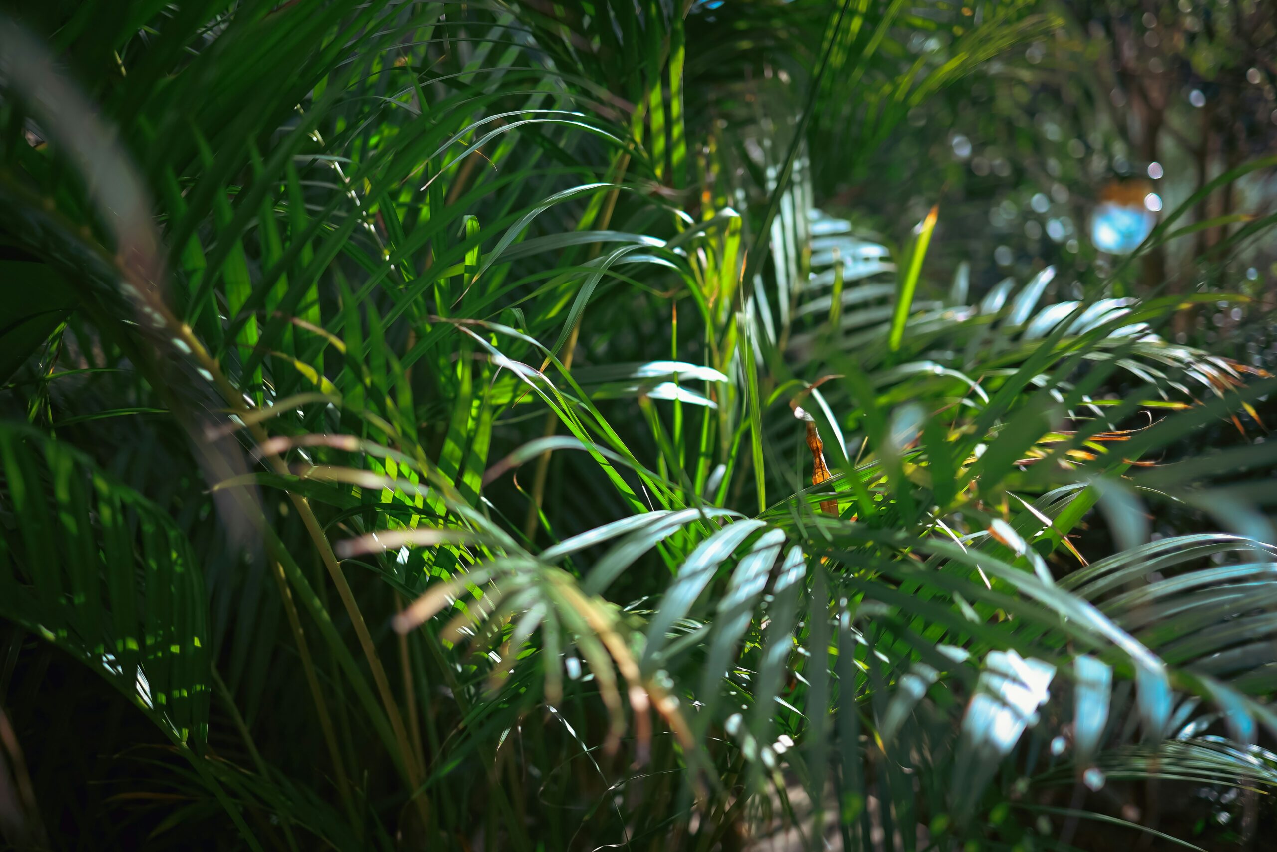 FOTO: Unsplash