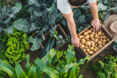 FOTO: iStock