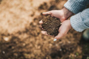 FOTO: iStock