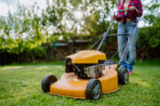 FOTO: iStock