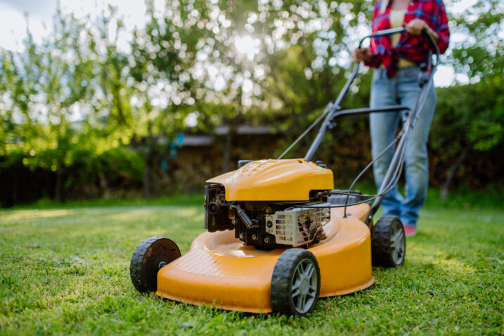 FOTO: iStock