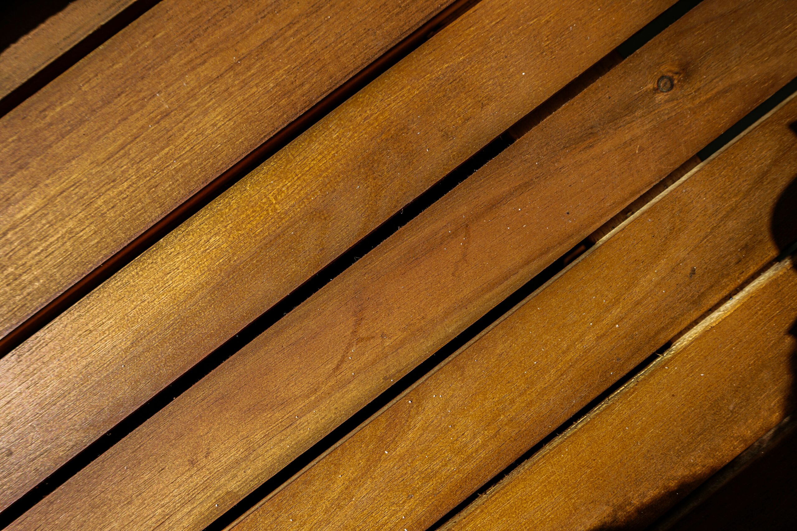 FOTO: Unsplash