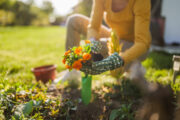 FOTO: iStock
