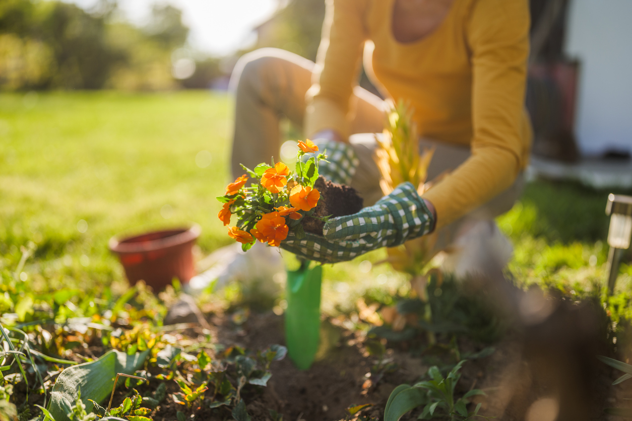 FOTO: iStock