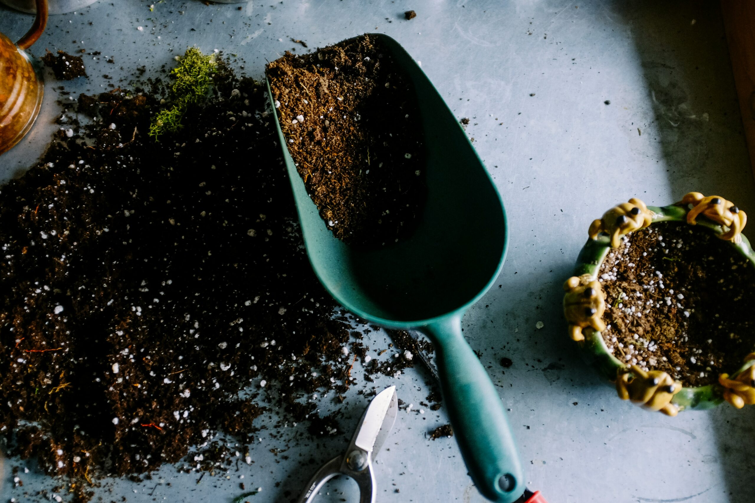 FOTO: Unsplash
