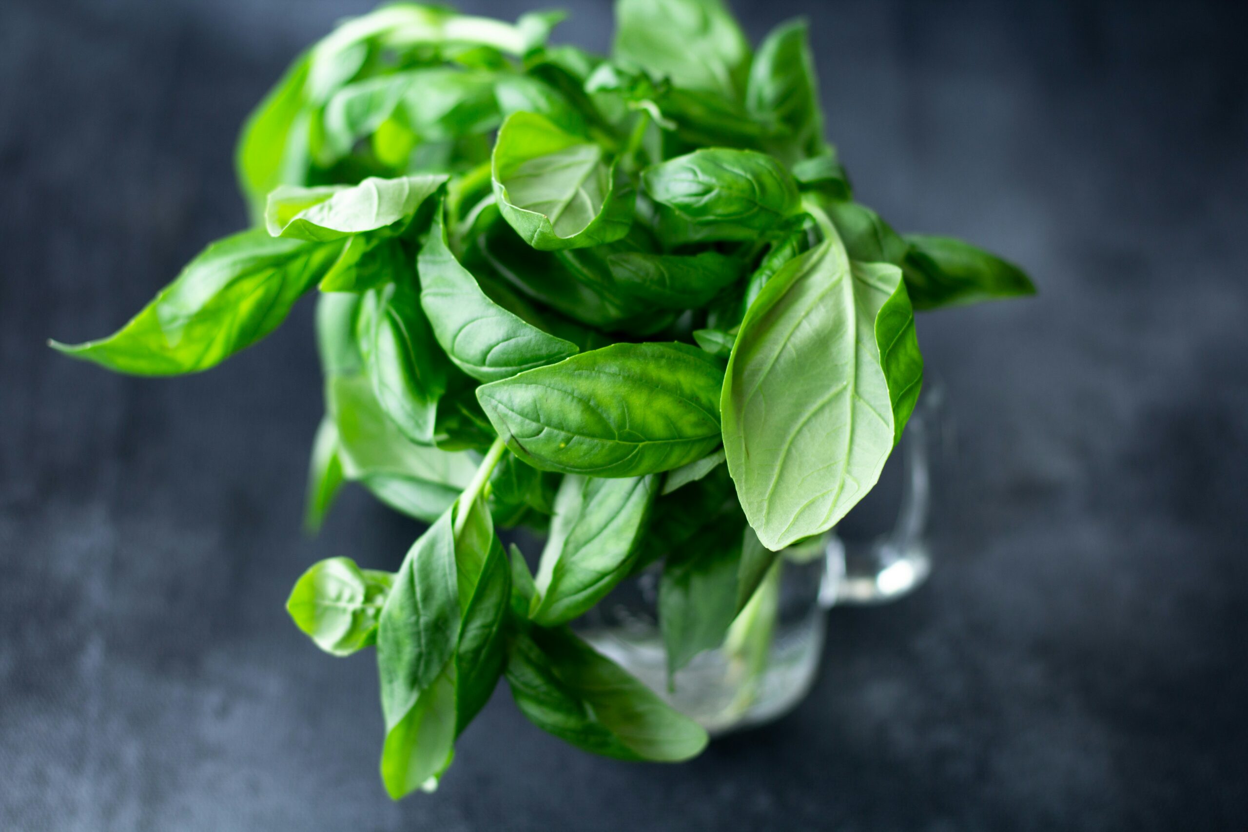 FOTO: Unsplash