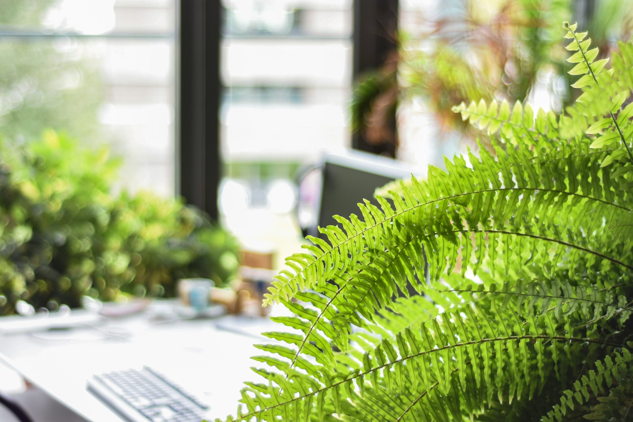 FOTO: Unsplash