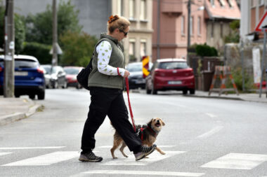 Snimio Davor KOVAČEVIĆ