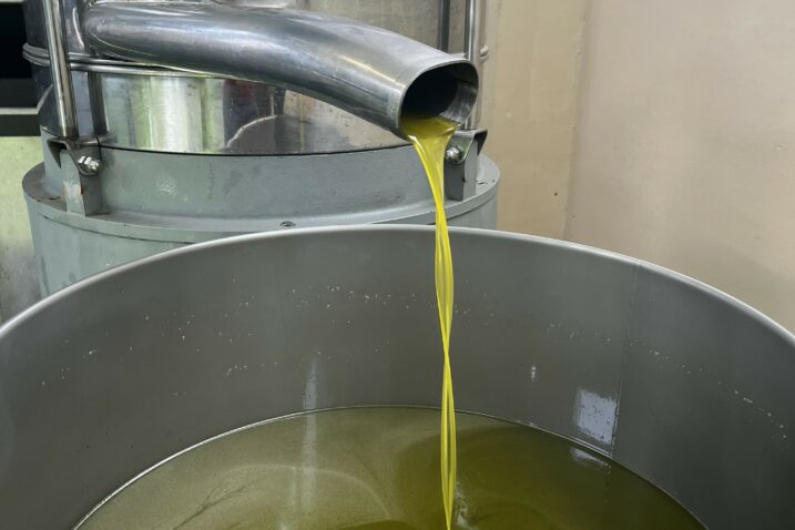 Puno dela, ma i gušta / Foto Relja PAŠKVAN
