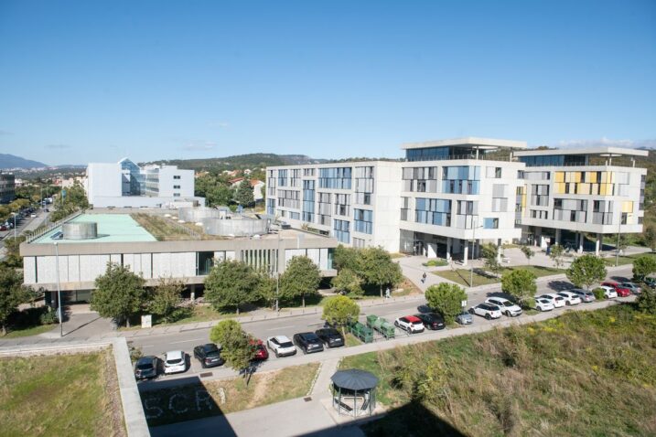 Foto Nikola Blagojević