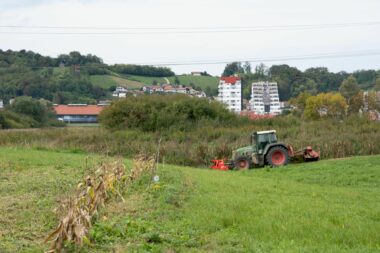 Foto: LUKA ANTUNAC/PIXSELL