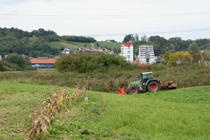 Foto: LUKA ANTUNAC/PIXSELL