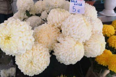 Foto Aleksandra KUĆEL-ILIĆ