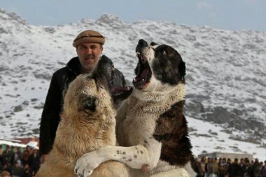 Ilustracija Reuters