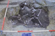 Foto Mario Novak et al., PLOS One
