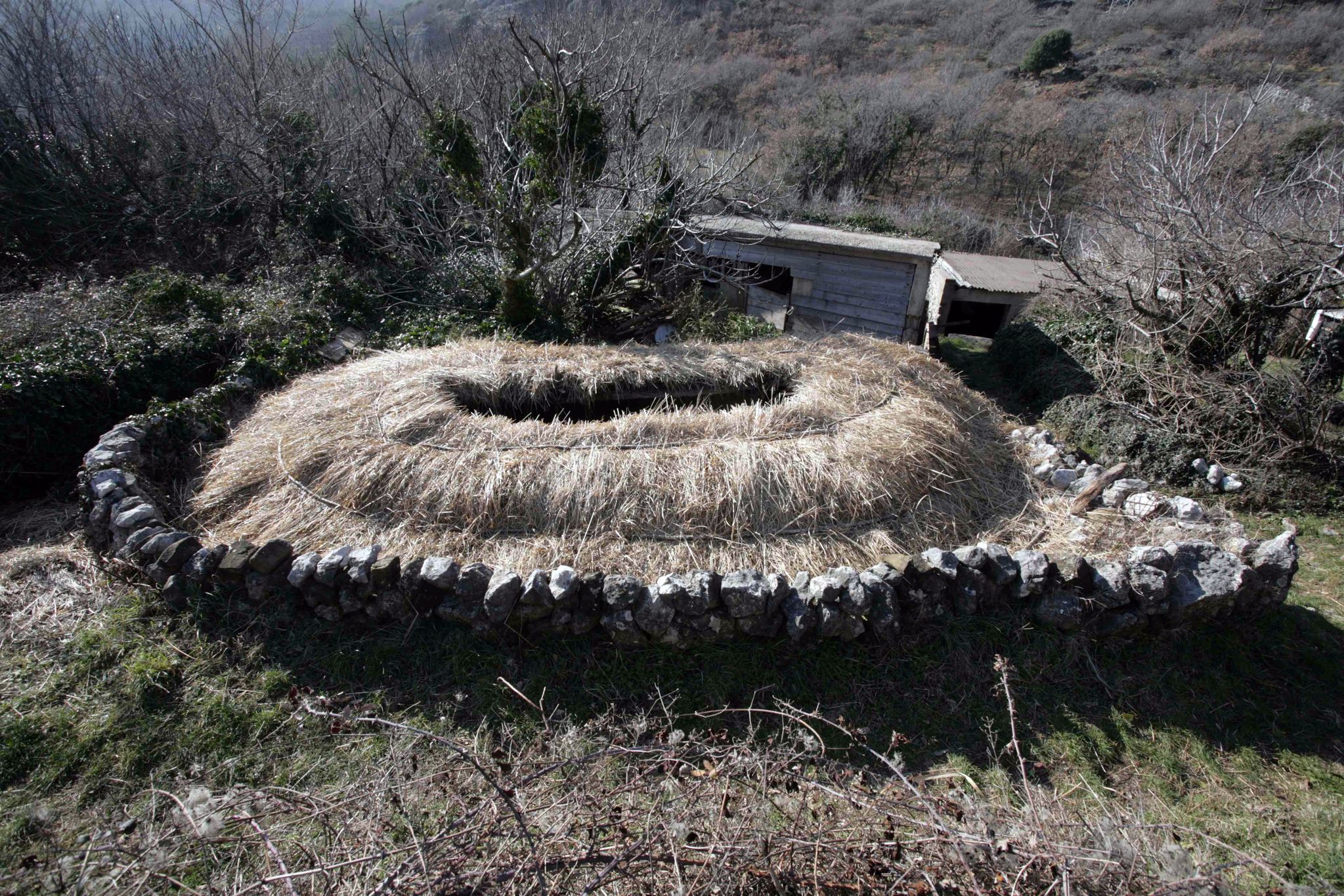 Ovalna mošuna pored Drage Bašćanske, jedini takav objekt na svijetu (6.4.2011.), Foto: DAMIR KRIZMANIĆ

