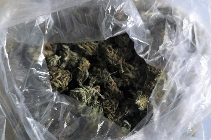 Marihuana, ilustracija / Foto: PU međimurska