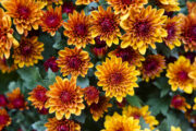 FOTO: iStock