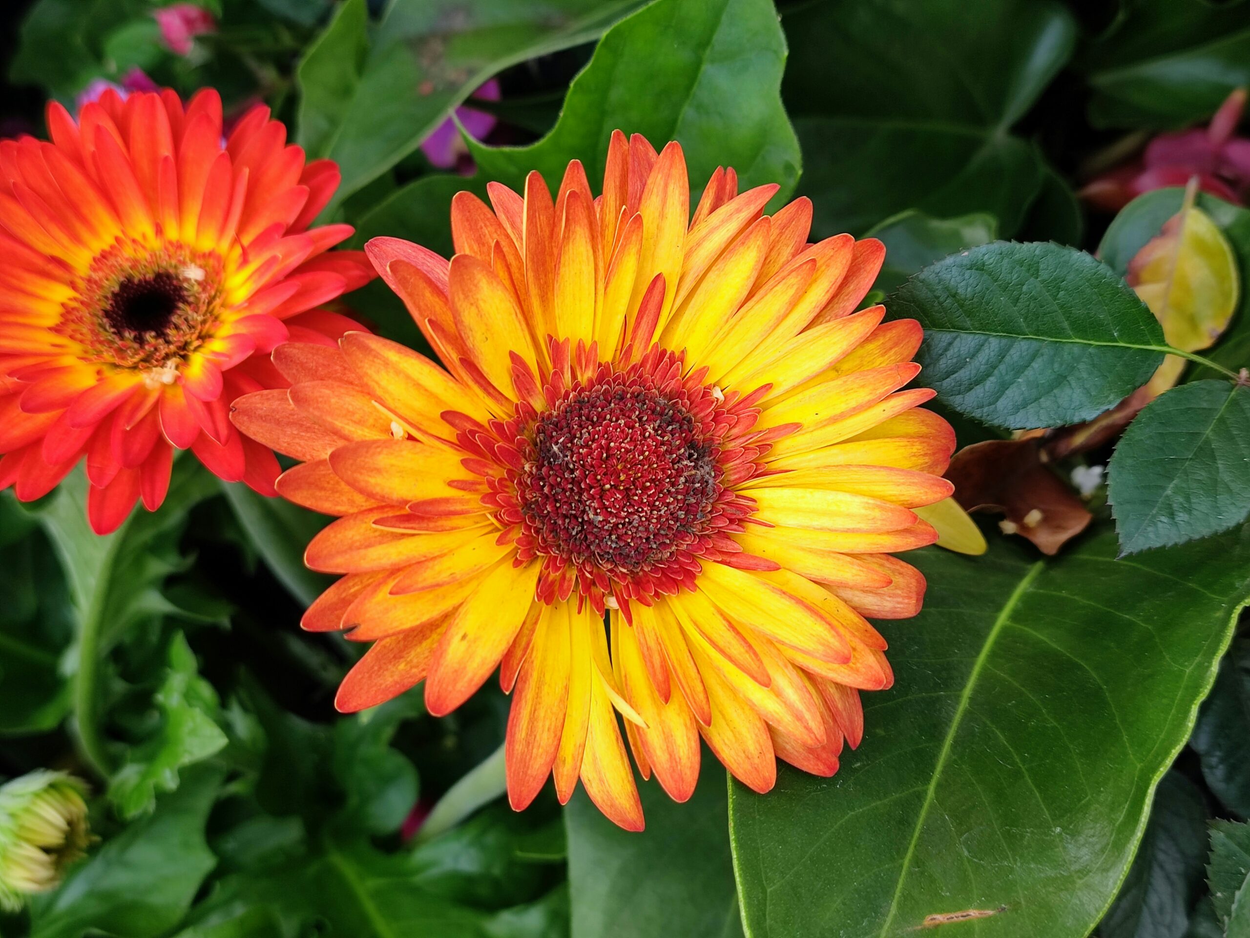 FOTO: Unsplash