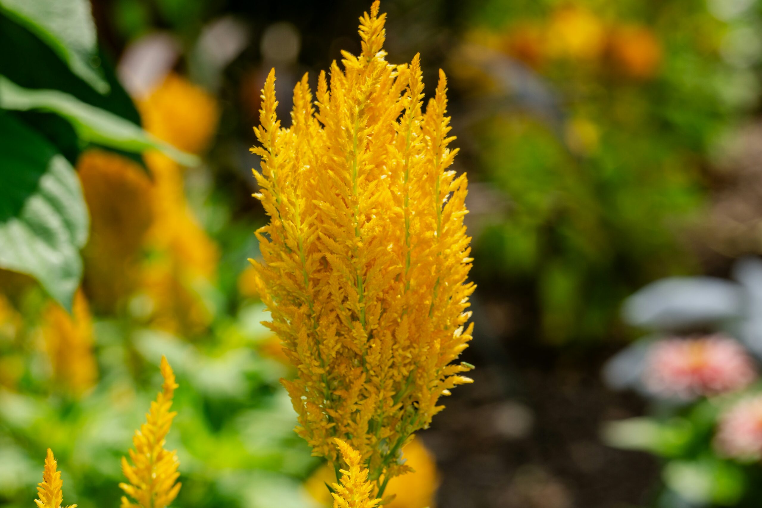 FOTO: Unsplash