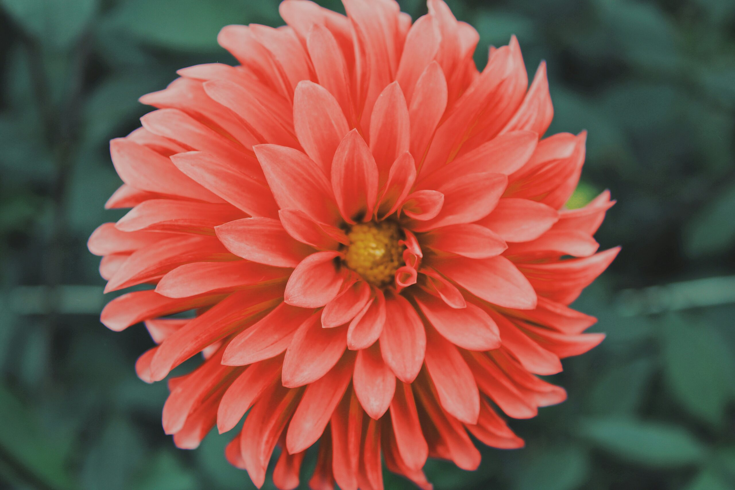 FOTO: Unsplash